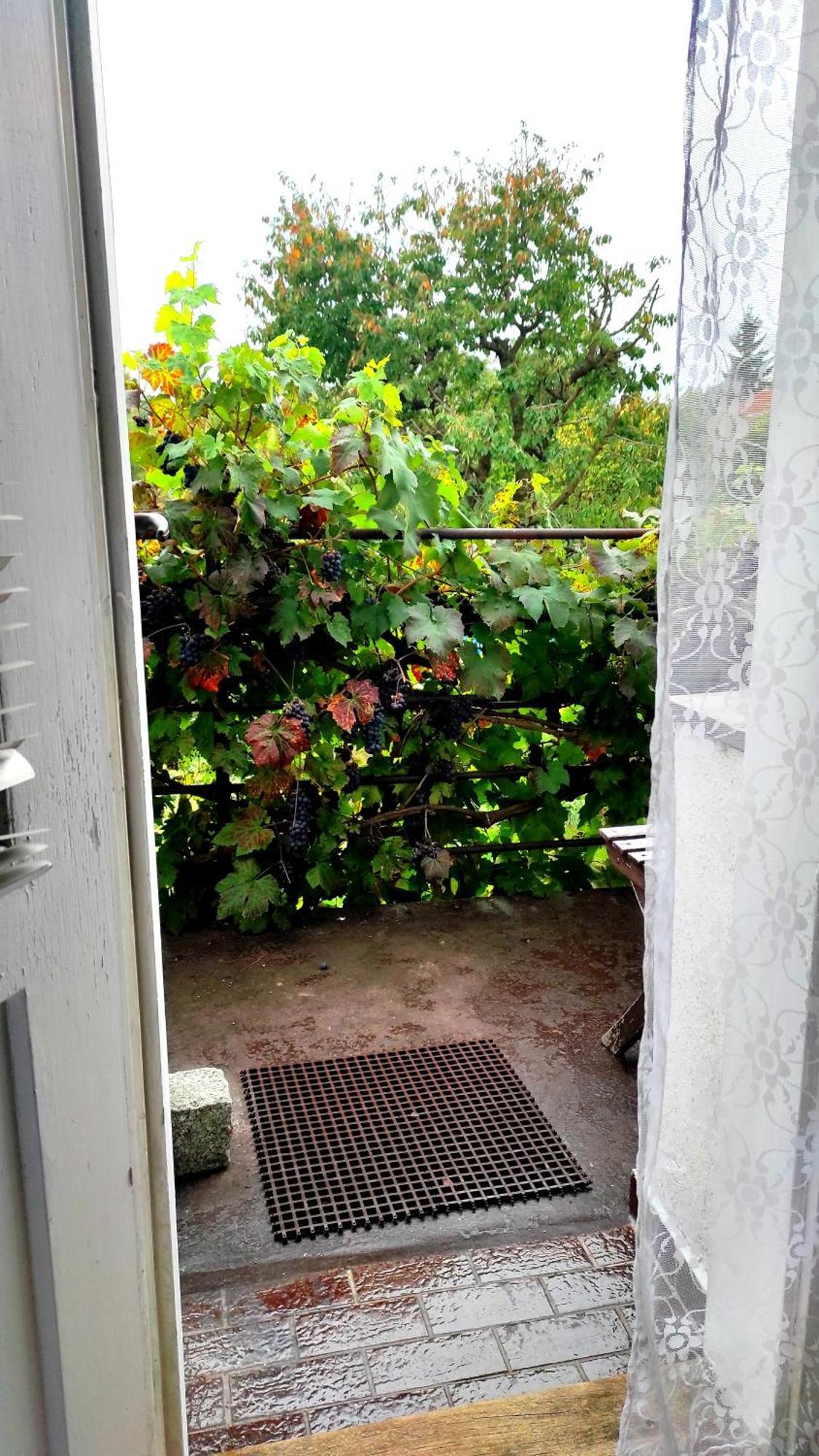 Apartment Telc Hradecka מראה חיצוני תמונה